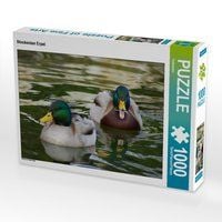 Produktbild: CALVENDO Puzzle Stockenten Erpel 1000 Teile Lege-Gr&ouml;&szlig;e 64 x 48 cm Foto-Puzzle Bild von Kattobello