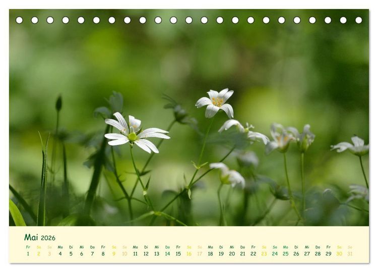 Produktbild: Naturwunder Bl&uuml;ten (Tischkalender 2026 DIN A5 quer), CALVENDO Monatskalender