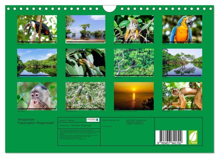 Produktbild: Amazonas - Faszination Regenwald (Wandkalender 2026 DIN A4 quer), CALVENDO Monatskalender