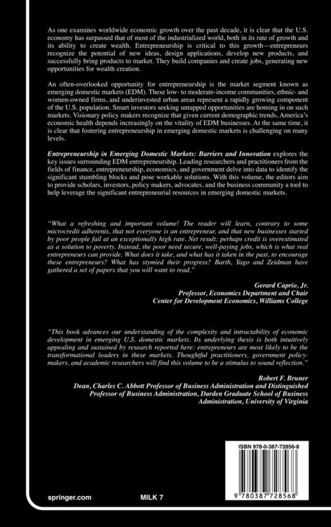Produktbild: Entrepreneurship in Emerging Domestic Markets