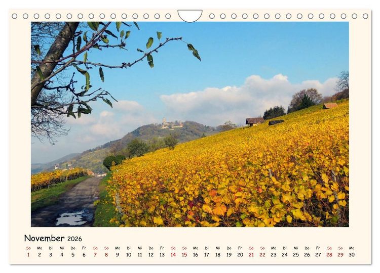 Produktbild: Weinlandschaft - Heppenheim an der Bergstra&szlig;e (Wandkalender 2026 DIN A4 quer), CALVENDO Monatskalender