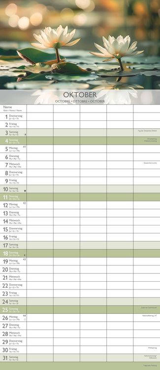 Produktbild: Familienplaner Zen 2026 - Familien-Timer 19,5x45 cm - 5 Spalten - Wand-Planer - viel Platz für Eintragungen - Familienkalender - Alpha Edition