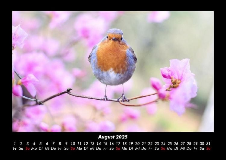 Produktbild: Vogelparadies 2025 Fotokalender DIN A3