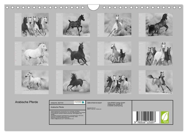 Produktbild: Arabische Pferde (Wandkalender 2026 DIN A4 quer), CALVENDO Monatskalender