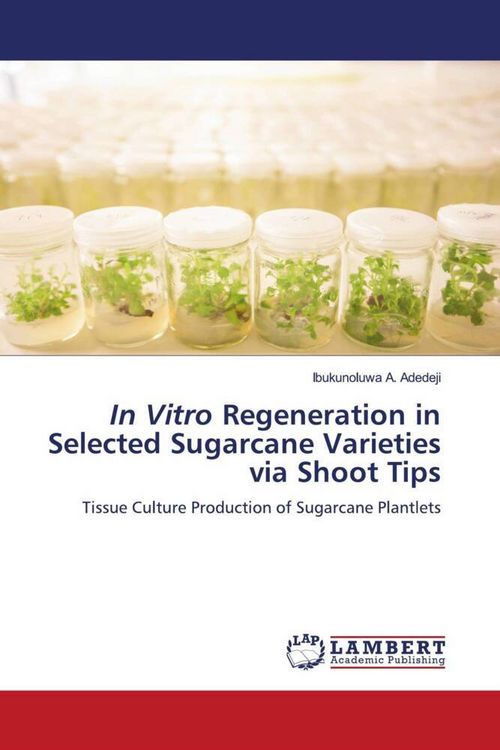Produktbild: In Vitro Regeneration in Selected Sugarcane Varieties via Shoot Tips