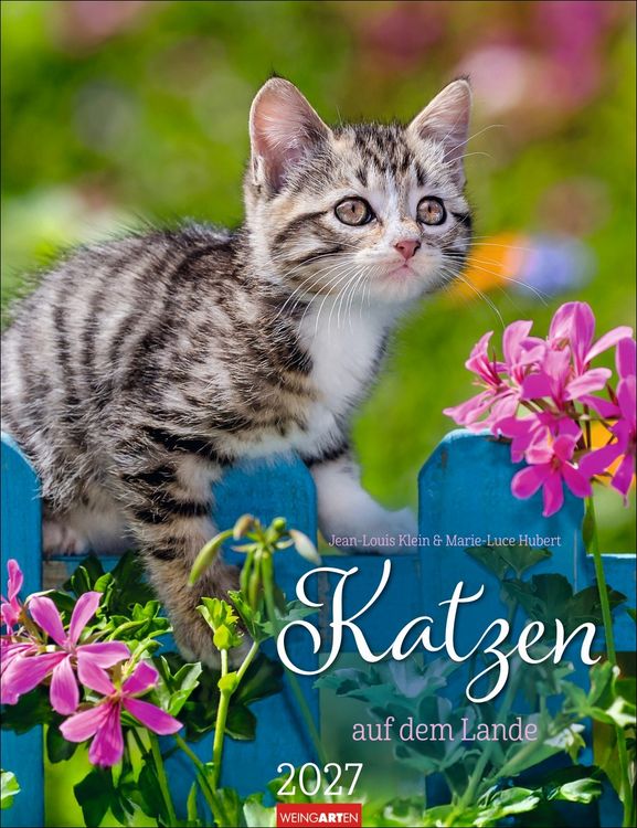 Produktbild: Katzen auf dem Lande Kalender 2027