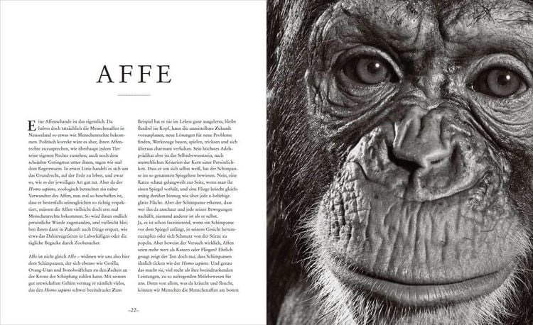 Die Seele der Tiere. Gesichter. Gefühle. Geschichten