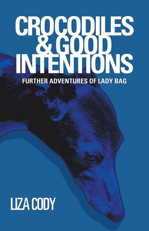 Produktbild: Crocodiles & Good Intentions