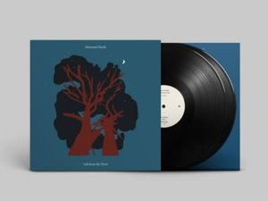 Produktbild: Gift from the Trees