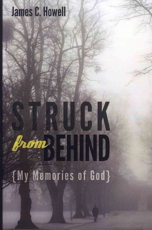 Produktbild: Struck from Behind