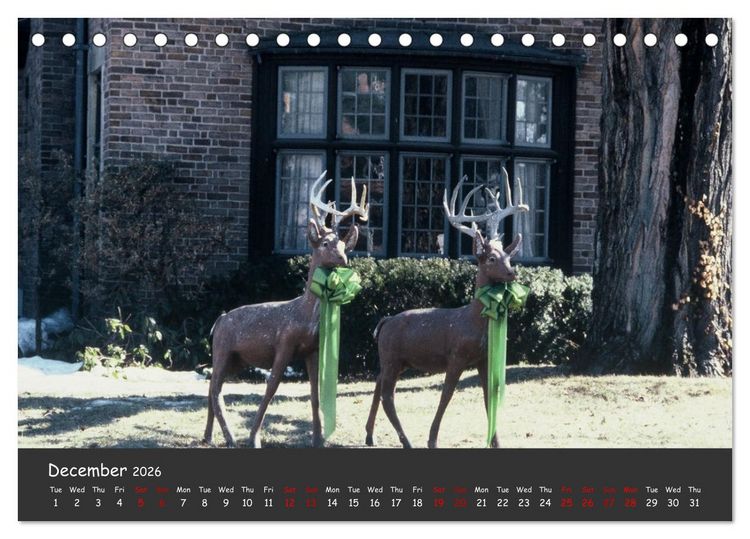 Produktbild: USA Great Country - Lovely Details (Desk Calendar 2026 DIN A5 landscape), CALVENDO 12 Month DeskCalendar