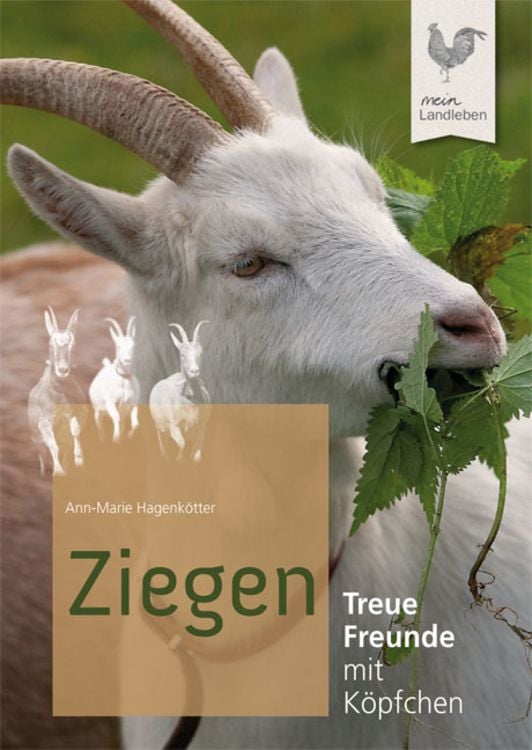 Produktbild: Ziegen