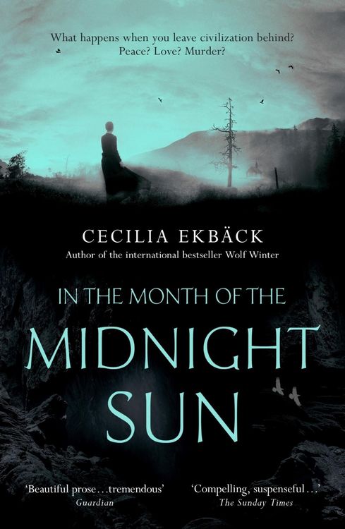 Produktbild: In the Month of the Midnight Sun