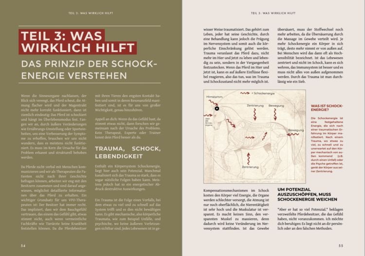 Produktbild: KastrationsTrauma - Wenn der K&ouml;rper nicht mehr zur&uuml;ckfindet