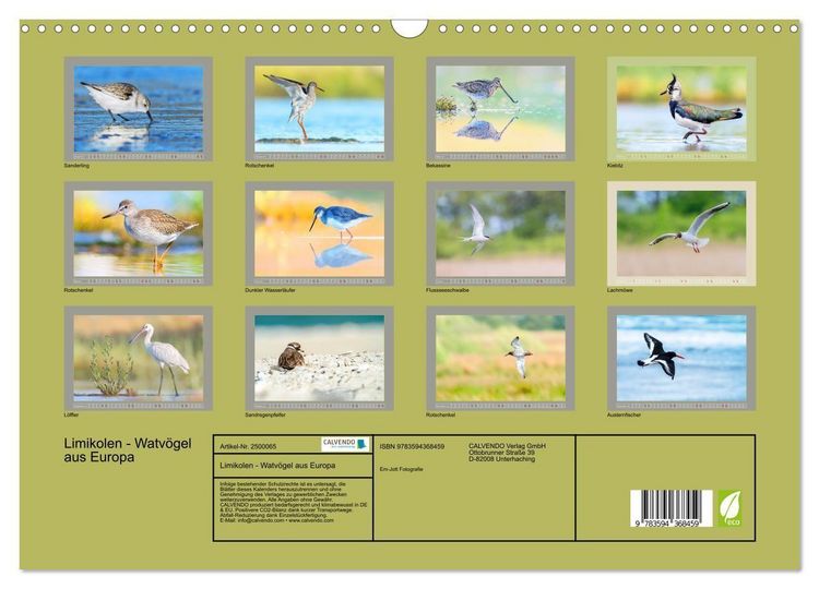 Produktbild: Limikolen - Watv&ouml;gel aus Europa (Wandkalender 2027 DIN A3 quer), CALVENDO Monatskalender
