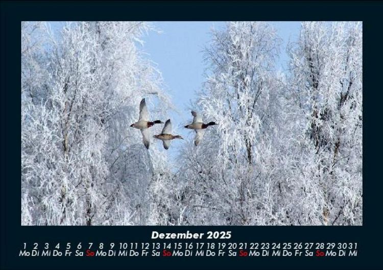 Produktbild: Winterzauber 2025 Fotokalender DIN A5