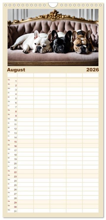 Produktbild: Familienplaner 2026 - Kleine K&ouml;nige - Franz&ouml;sische Bulldoggen mit 5 Spalten (Wandkalender, 21 x 45 cm) CALVENDO
