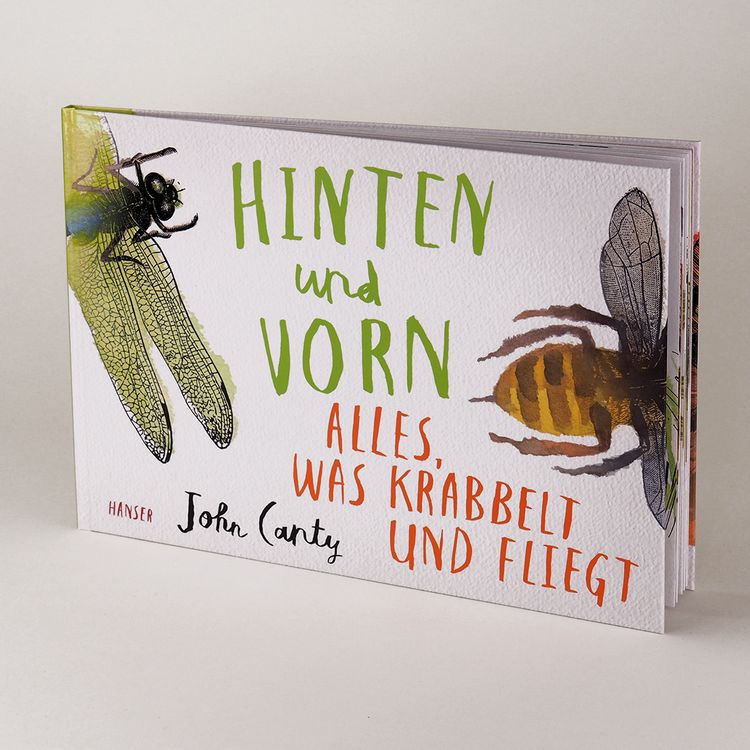 Produktbild: Hinten und vorn - Alles, was krabbelt und fliegt
