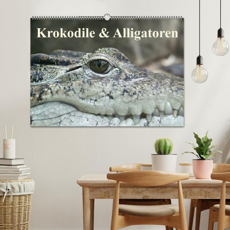 Produktbild: Krokodile & Alligatoren (Wandkalender 2026 DIN A2 quer), CALVENDO Monatskalender