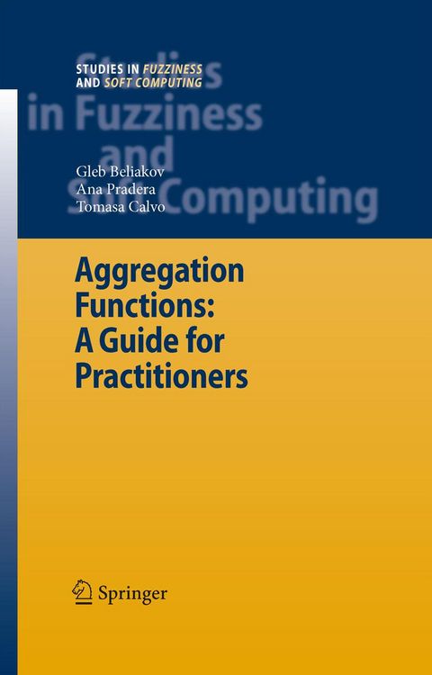 Produktbild: Aggregation Functions: A Guide for Practitioners