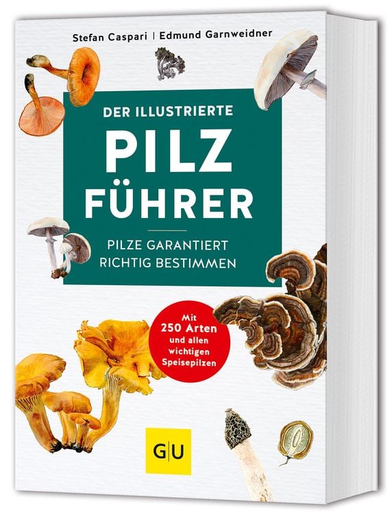 Bild vom Artikel Der illustrierte Pilzführer vom Autor Stefan Caspari