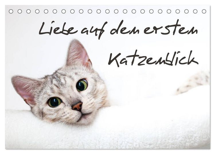Produktbild: Liebe auf den ersten Katzenblick (Tischkalender 2026 DIN A5 quer), CALVENDO Monatskalender