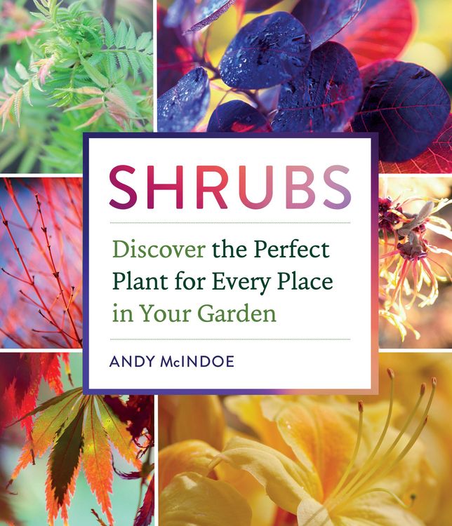 Produktbild: Shrubs