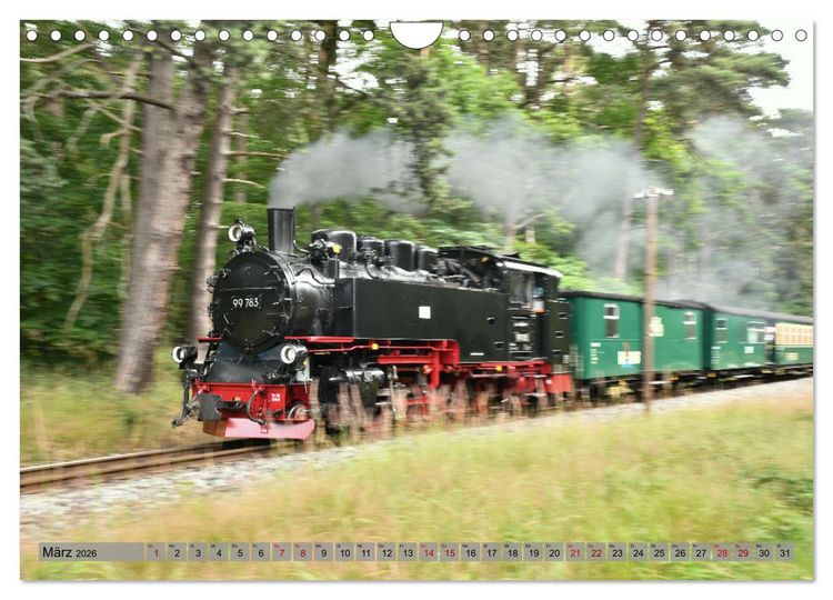 Produktbild: Mit Dampf durch die Natur R&uuml;gens (Wandkalender 2026 DIN A4 quer), CALVENDO Monatskalender
