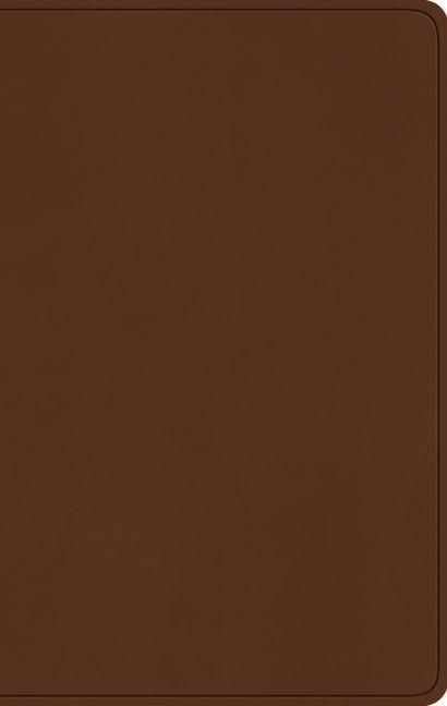 Produktbild: ESV Large Print Value Thinline Bible