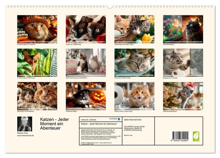 Produktbild: Katzen - Jeder Moment ein Abenteuer (hochwertiger Premium Wandkalender 2027 DIN A2 quer), Kunstdruck in Hochglanz