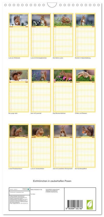 Produktbild: Familienplaner 2027 - Eichh&ouml;rnchen in zauberhaften Posen mit 5 Spalten (Wandkalender, 21 x 45 cm) CALVENDO