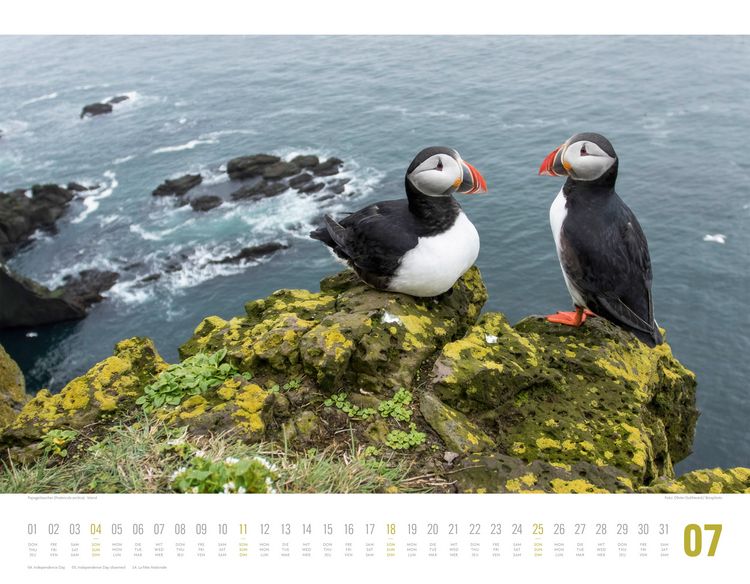 Produktbild: Tierwelt Skandinavien Kalender 2027