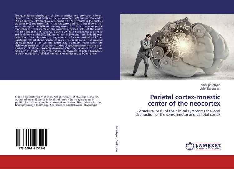 Produktbild: Parietal cortex-mnestic center of the neocortex