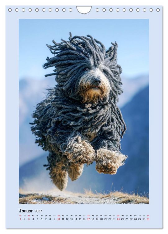 Produktbild: Dreadlocks auf Pfoten. Ungarische Hirtenhunde im Zottelfell (Wandkalender 2027 DIN A4 hoch), CALVENDO Monatskalender