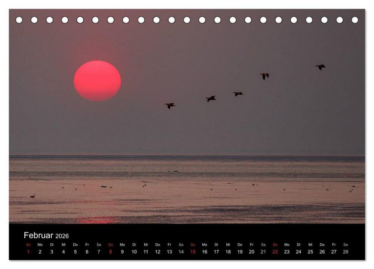 Produktbild: Im Norden - An der Nordsee in Deutschland (Tischkalender 2026 DIN A5 quer), CALVENDO Monatskalender