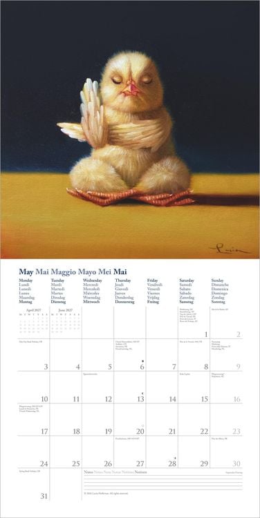 Produktbild: Yoga Chicks 2027