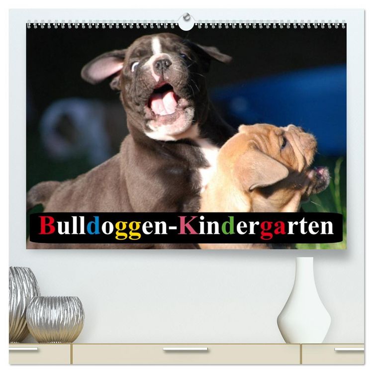 Produktbild: Bulldoggen-Kindergarten (hochwertiger Premium Wandkalender 2026 DIN A2 quer), Kunstdruck in Hochglanz
