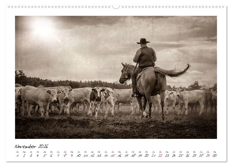 Produktbild: Mecklenburgs Wilder Westen (hochwertiger Premium Wandkalender 2026 DIN A2 quer), Kunstdruck in Hochglanz