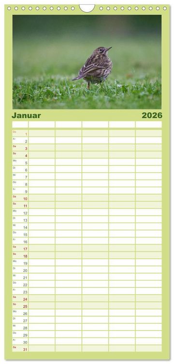 Produktbild: Familienplaner 2026 - Wilde Vogelwelt Helgoland mit 5 Spalten (Wandkalender, 21 x 45 cm) CALVENDO