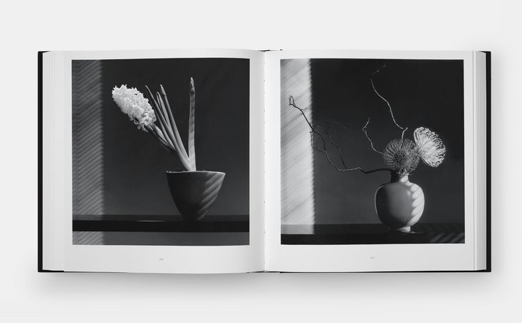 Produktbild: Mapplethorpe Flora: The Complete Flowers (2024)