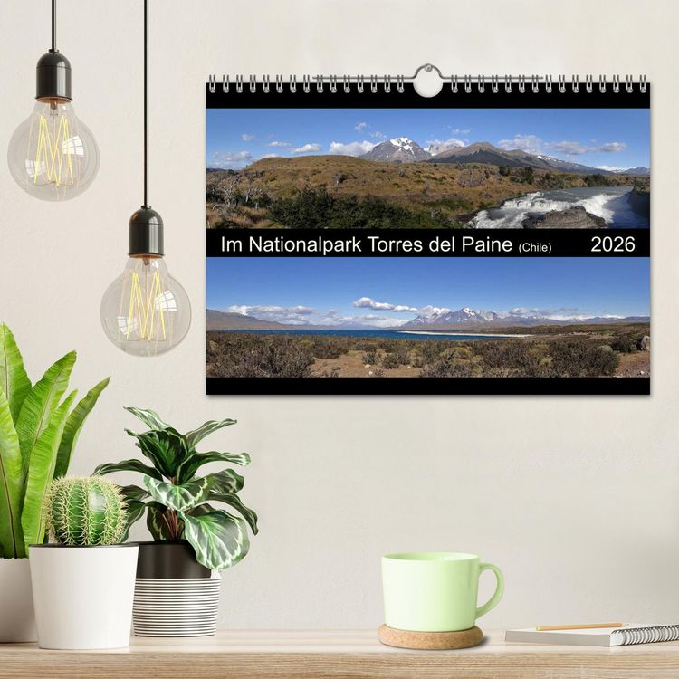Produktbild: Im Nationalpark Torres del Paine (Chile) (Wandkalender 2026 DIN A4 quer), CALVENDO Monatskalender