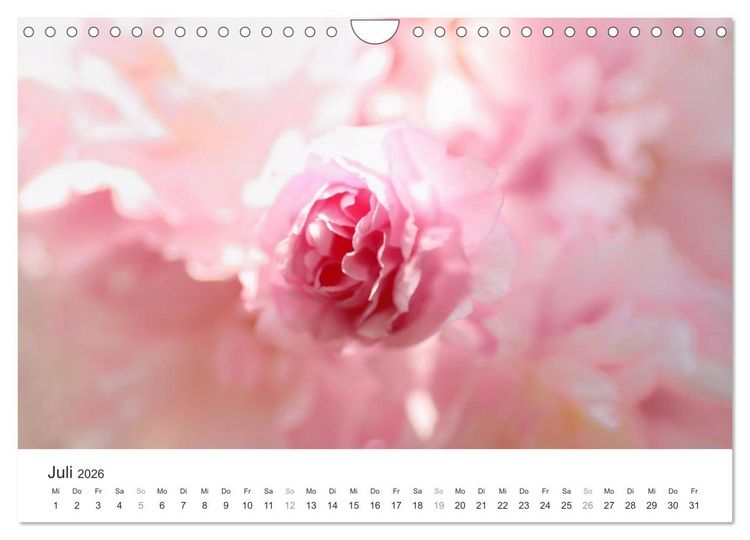 Produktbild: Kirschbl&uuml;tentraum (Wandkalender 2026 DIN A4 quer), CALVENDO Monatskalender