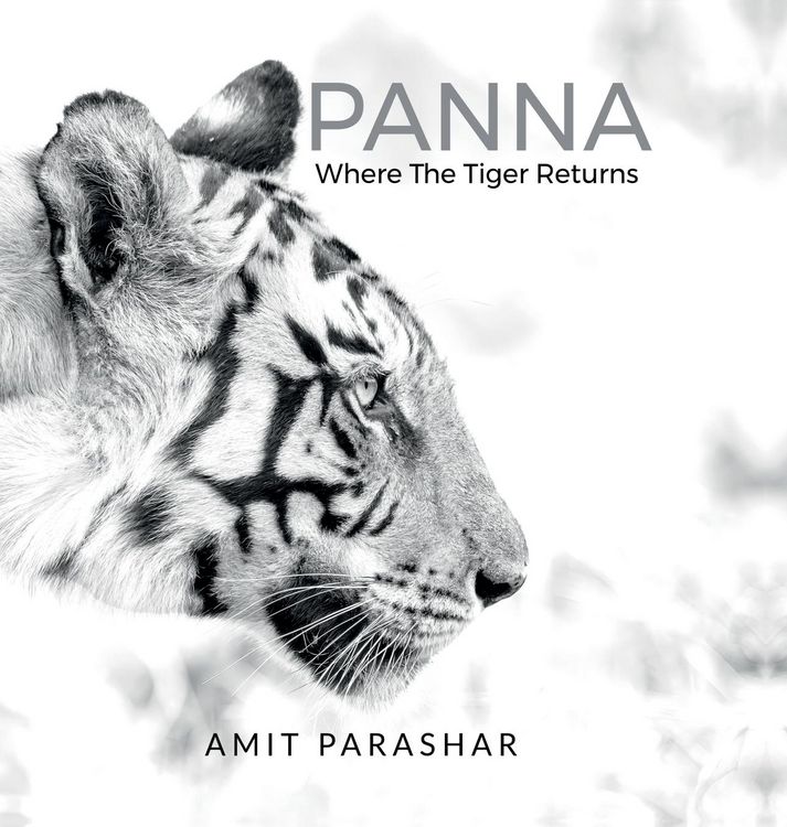 Produktbild: Panna
