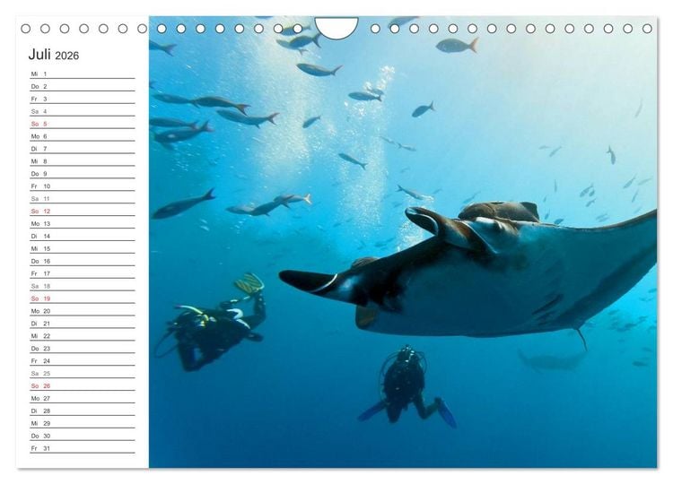 Produktbild: Malediven (Wandkalender 2026 DIN A4 quer), CALVENDO Monatskalender