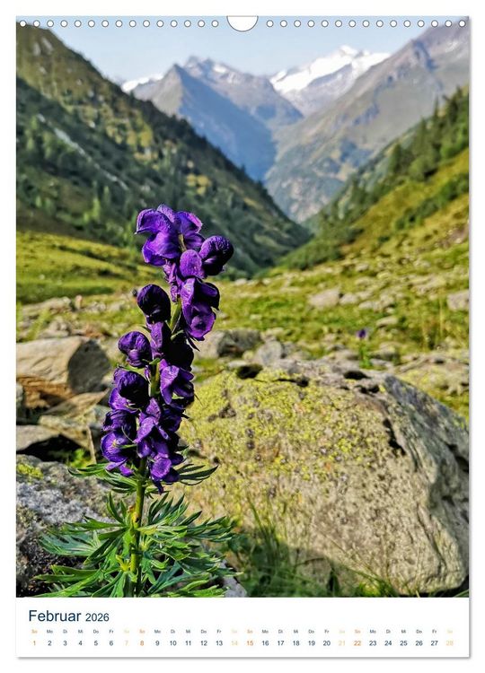 Produktbild: Sommer in &Ouml;sterreich - sonnige Tage in den Bergen (Wandkalender 2026 DIN A3 hoch), CALVENDO Monatskalender
