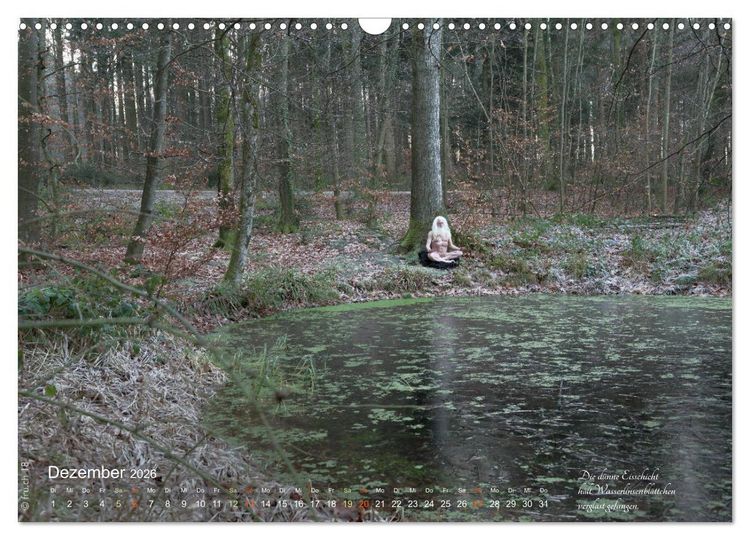 Produktbild: HAIKU AM TEICH (Wandkalender 2026 DIN A3 quer), CALVENDO Monatskalender