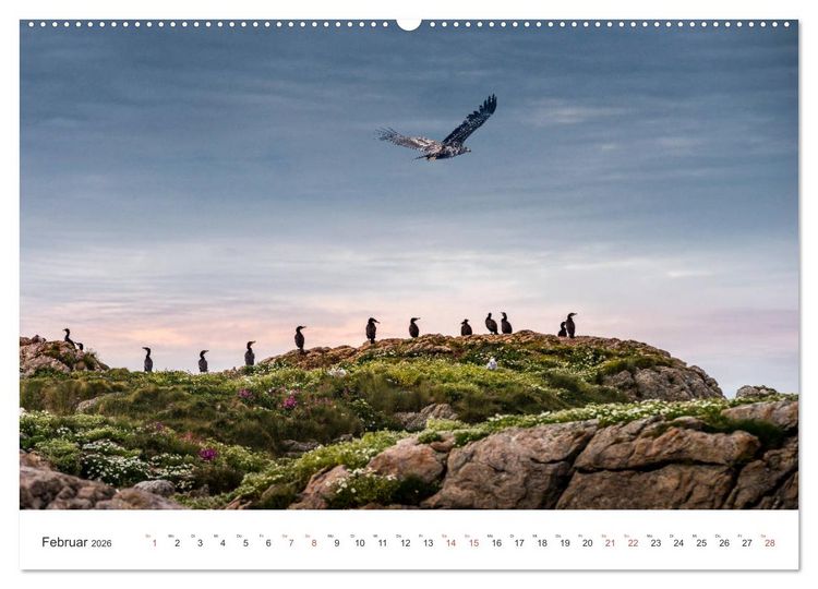 Produktbild: Nordland &ndash; Die Weite Skandinaviens (hochwertiger Premium Wandkalender 2026 DIN A2 quer), Kunstdruck in Hochglanz