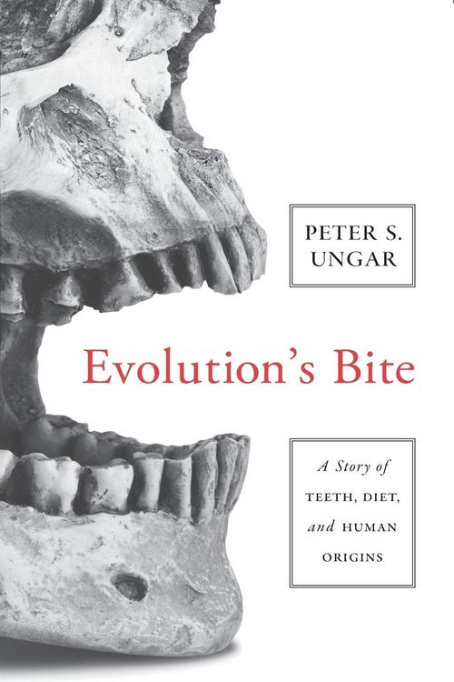 Produktbild: Evolution's Bite
