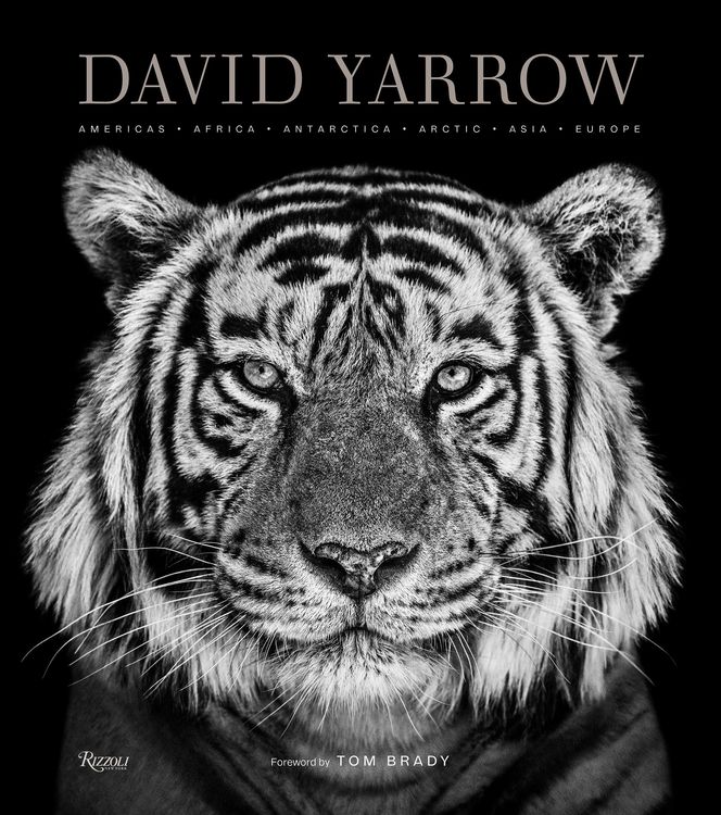 Produktbild: David Yarrow Photography