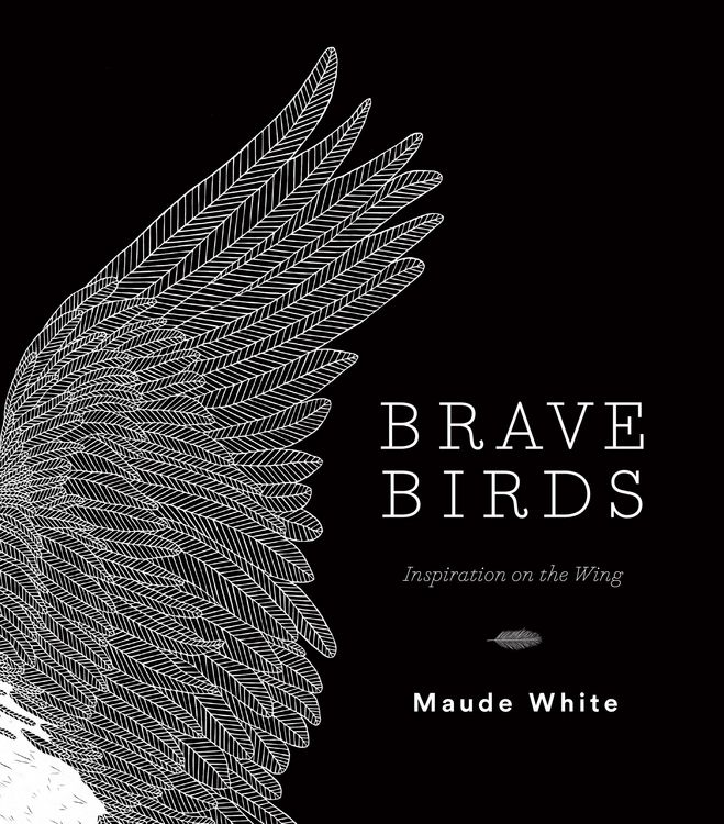Produktbild: Brave Birds